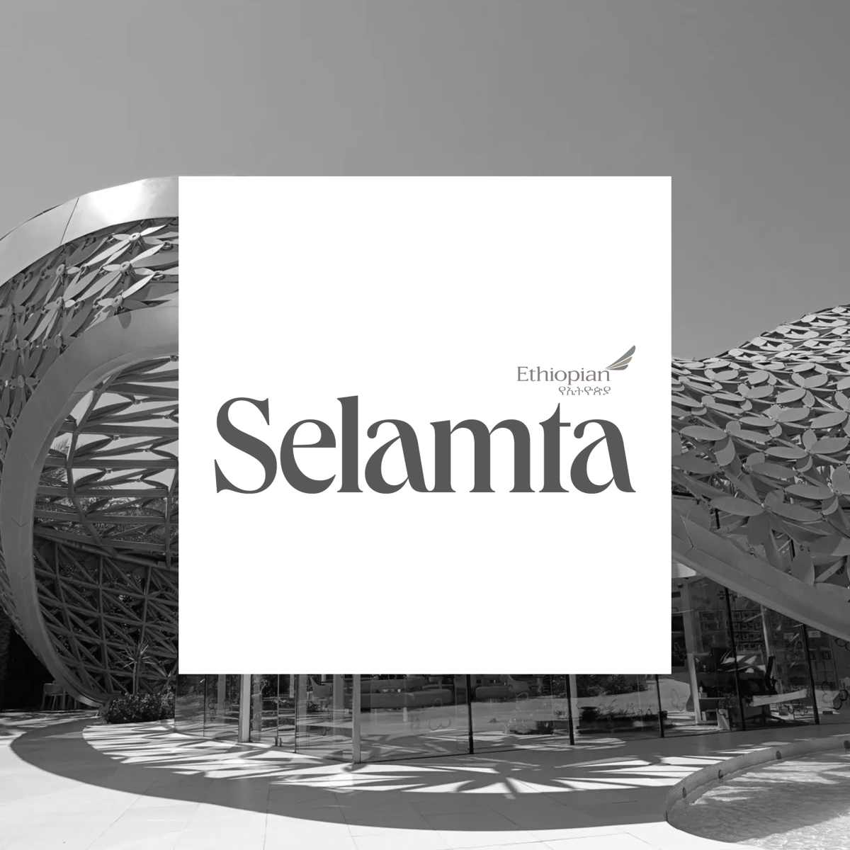 Feature | Sharjah architecture: How to build a city that smiles |&nbsp;Selamta